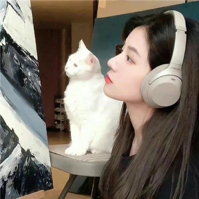 豹子胆